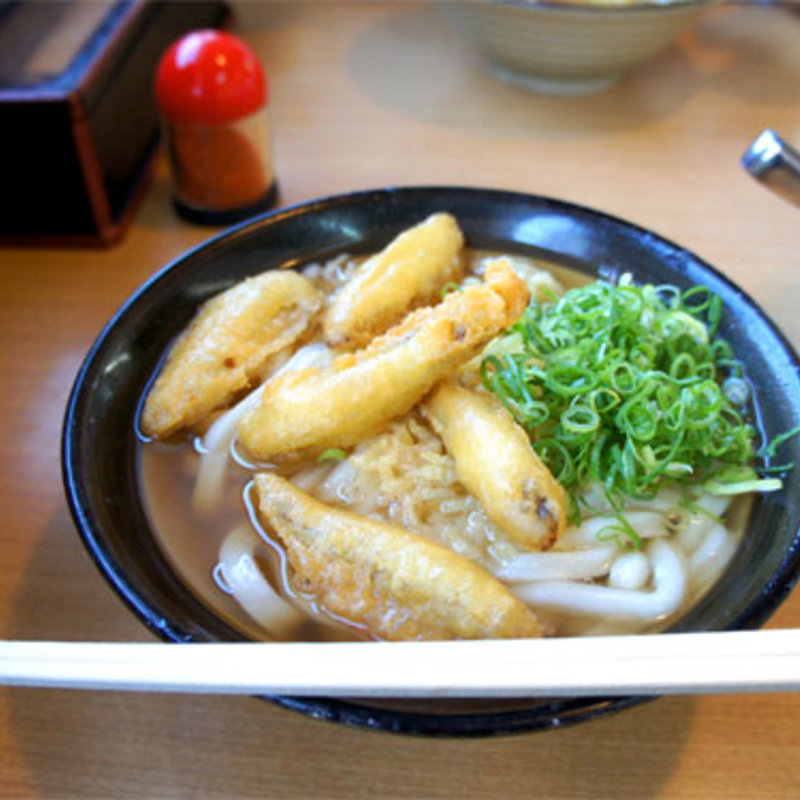 ごぼ天うどん(牧のうどん 加布里本店)
