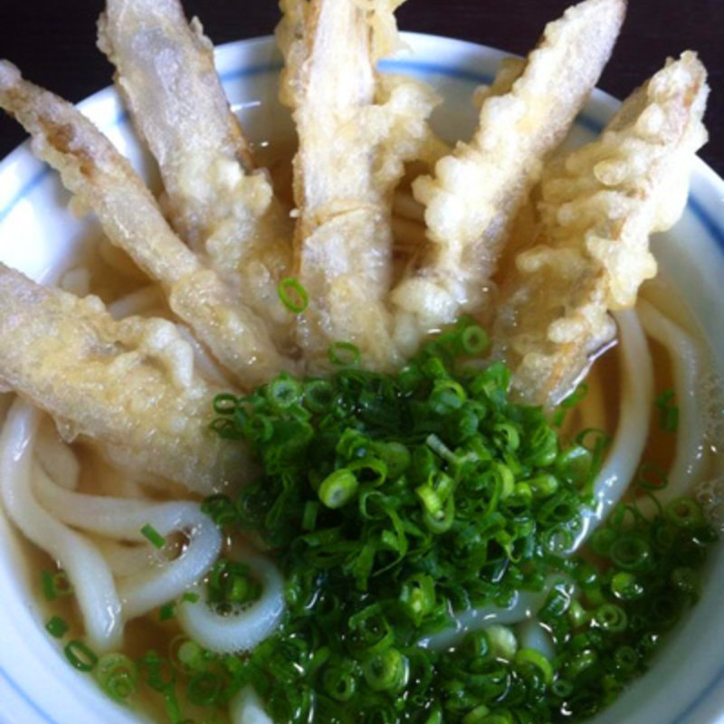 ごぼう天うどん(さぬきうどん誠屋)