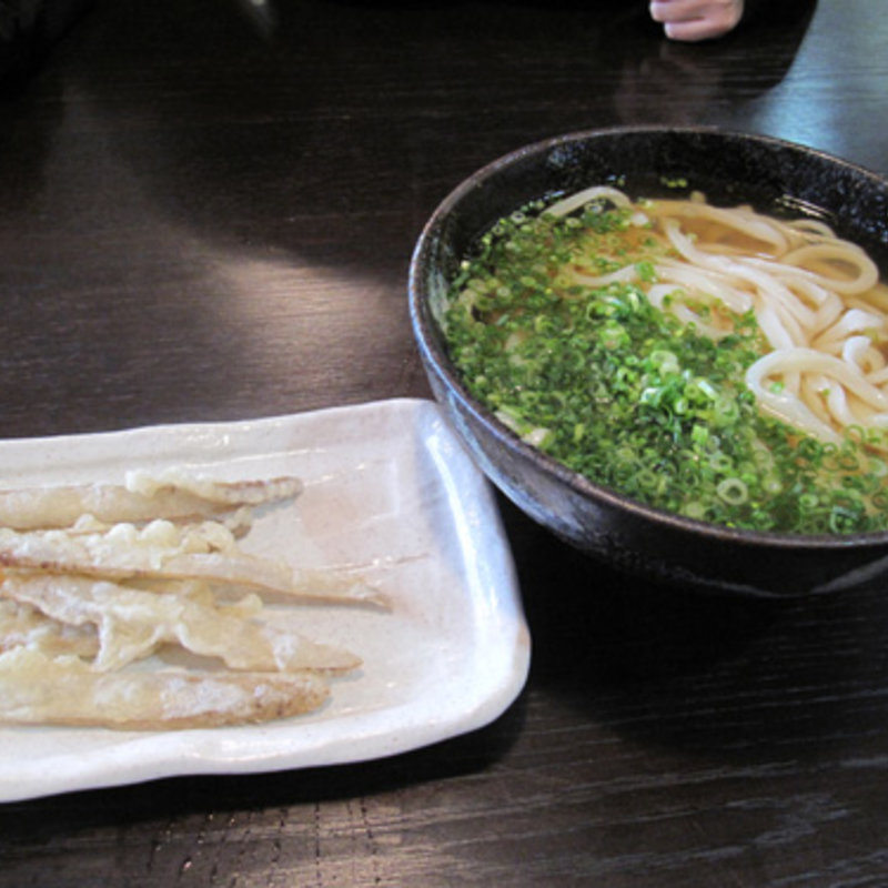 大盛り冷やしかけうどん630円とごぼう天150円(さぬきうどん誠屋)