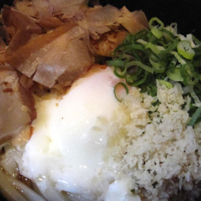 温玉カツオぶっかけうどん(冷)(うどん研究所 麺喰道)