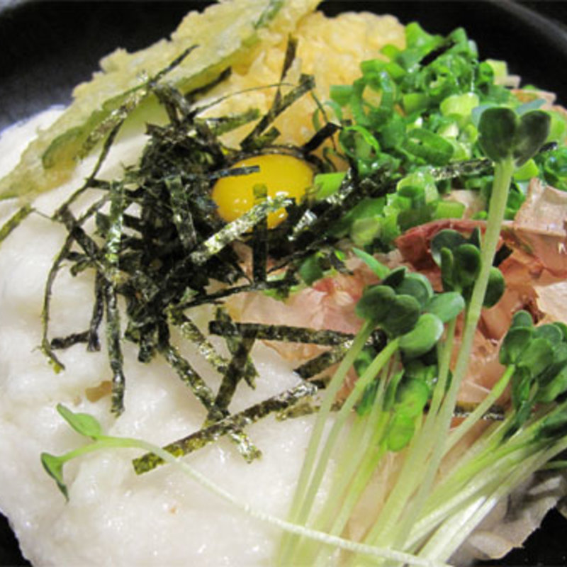 山いもぶっかけうどん(温)(麺屋 岩田)