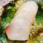 鯛(鮨　Shizuku)
