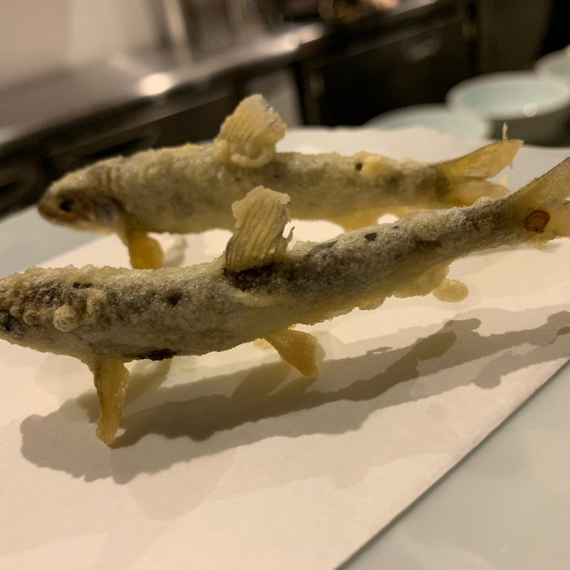 稚鮎の天ぷら(天ぷら割烹 昌)