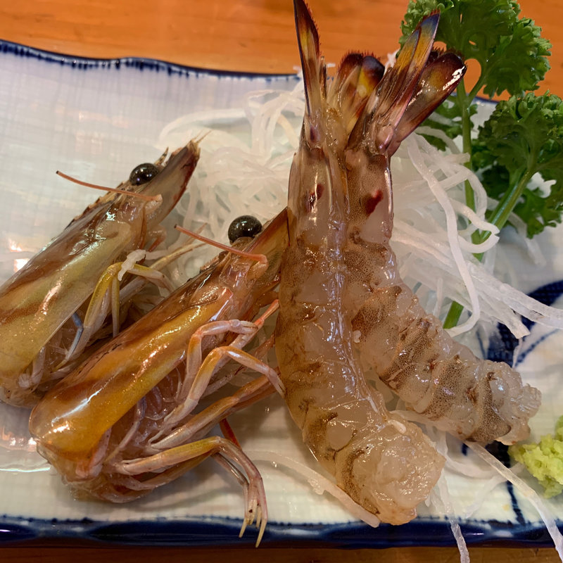 活き車海老(江戸前天婦羅　前山 )