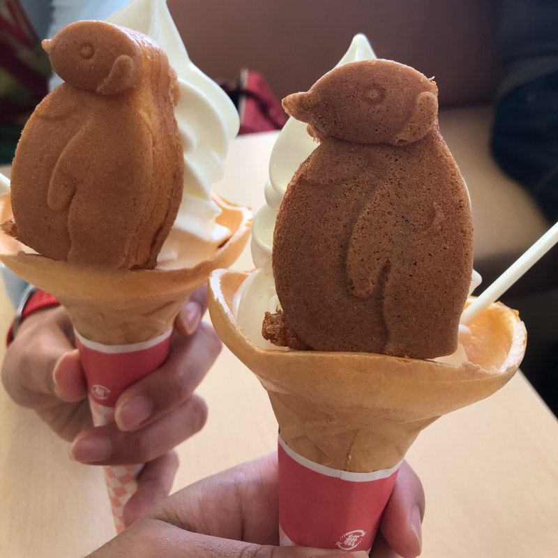 雪どけペンギン(長崎ペンギン水族館 )