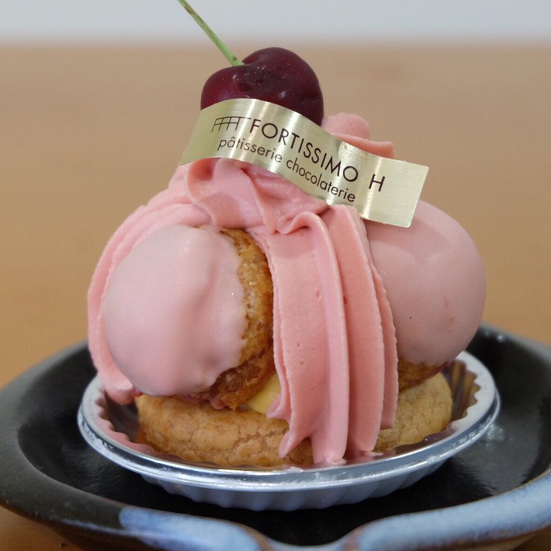 サントノーレルビー(フォルテシモ アッシュ （FORTISSIMO H）)