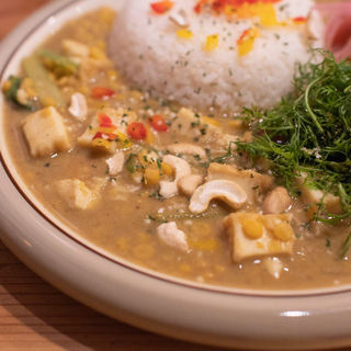 厚あげと小松菜の豆カレー+オーガニックパクチー(スパイス スエヒロ)