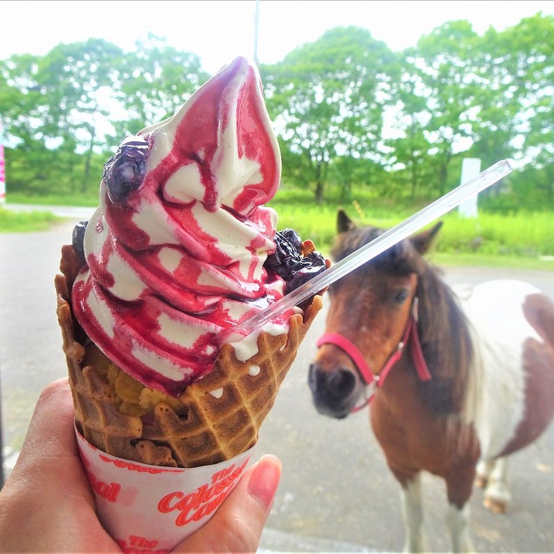 ハスカップソフトクリーム(溝口農場 )