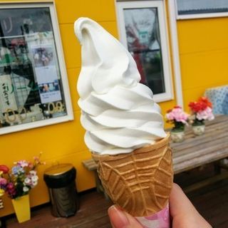 ソフトクリーム（バニラ）(小樽ミルク・プラント)