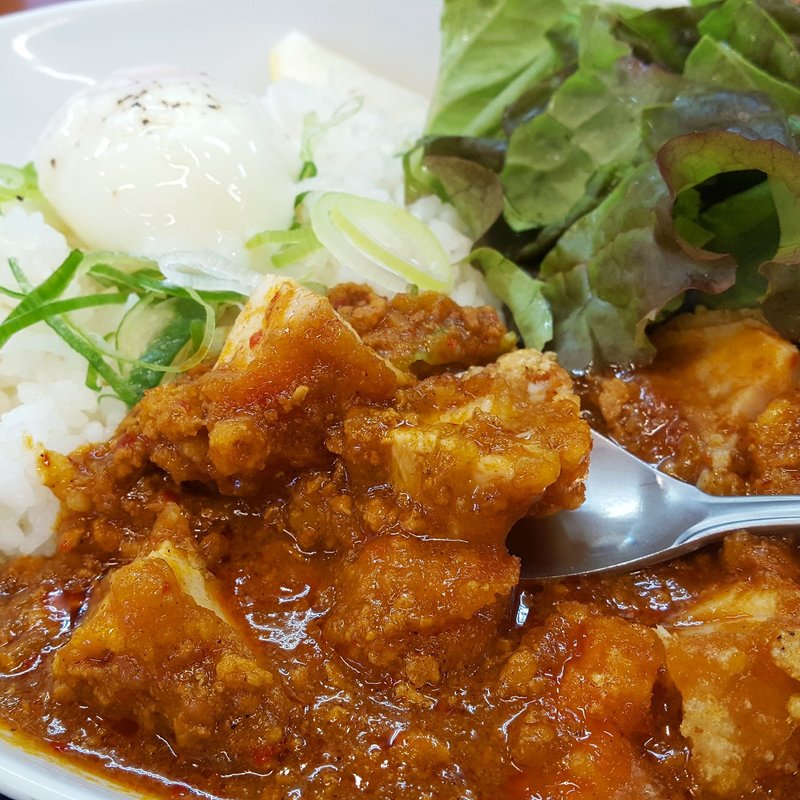 スパイスキーマカレー(からやま)