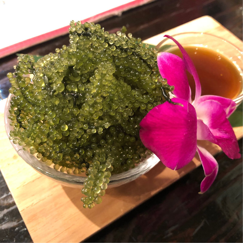 海ぶどう(沖縄がじゅまる酒場ばっちこい)