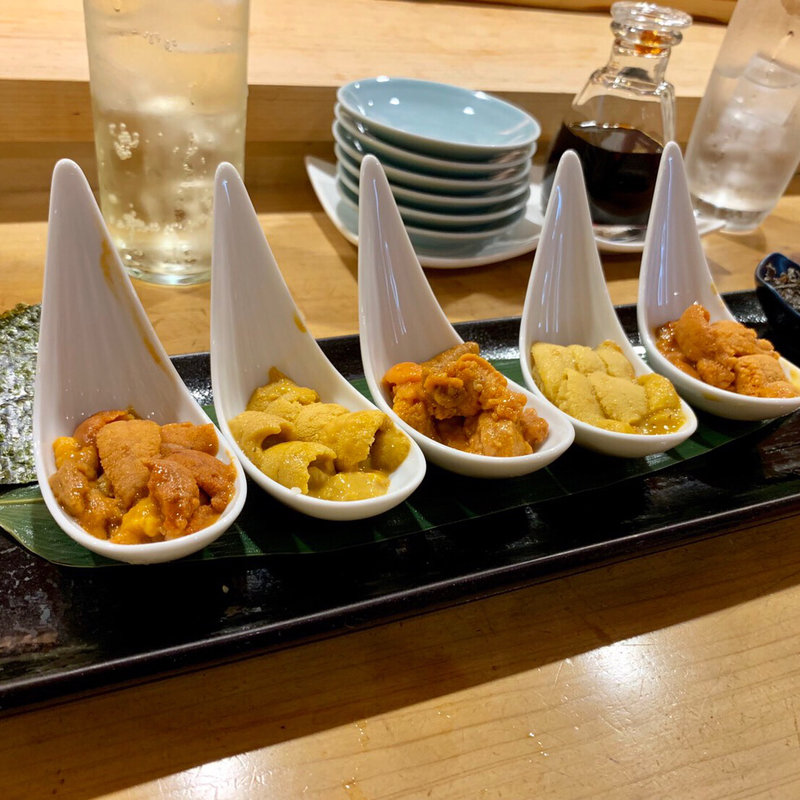 雲丹刺5種(築地虎杖 うに虎中通り店 （ツキジイタドリ）)