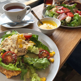 (forucafe 本店 フォルカフェ)