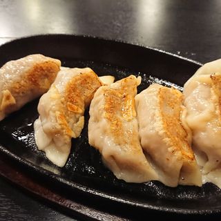 鉄板羊肉餃子5コ(ひつじ料理専門 牧羊人)