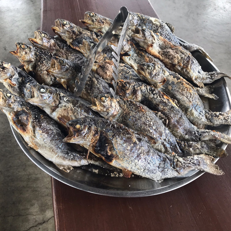 (川場フィッシングプラザ )