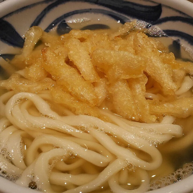 ゴボ天うどん(やたがらす UDON（旧名：酒とうどん 一福）)