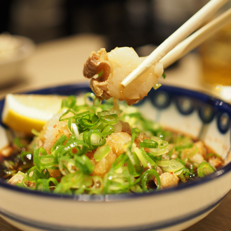 かすぽん(北新地うどん 薮や)