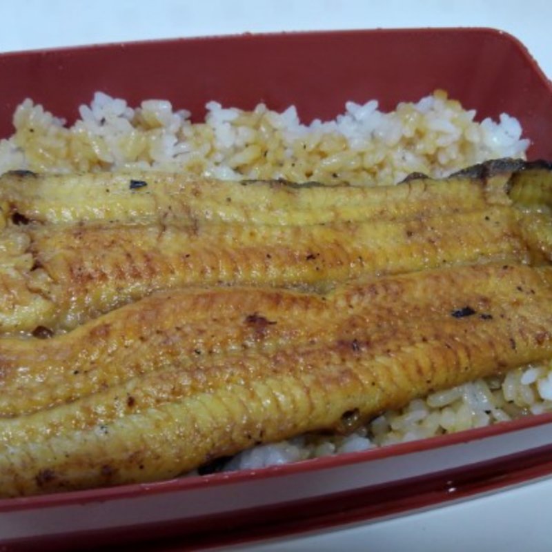 鰻重(うなぎ川亀)