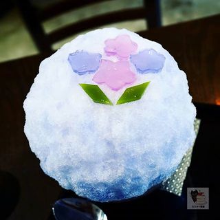 紫陽花(重義)