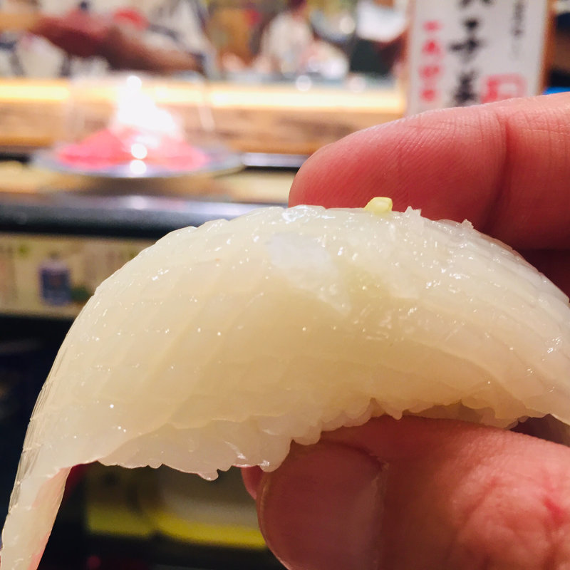 烏賊(和処 めっけもん )