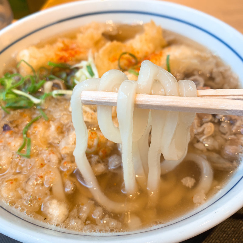 肉イカ天うどん(ウエスト 渡辺通り店(うどん))