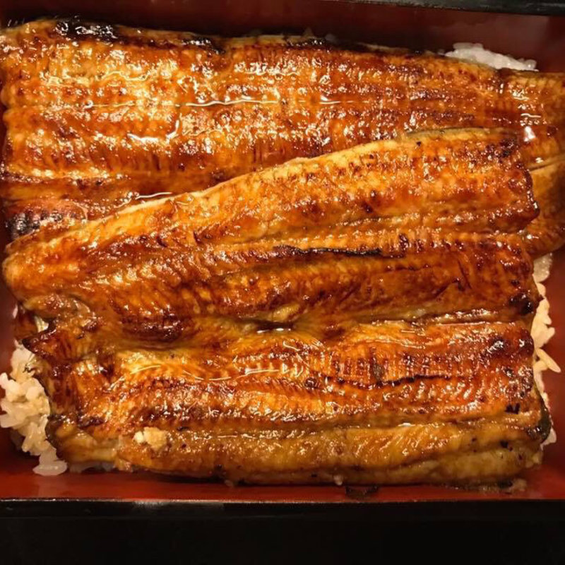 うな重 極(川昌 本店 )