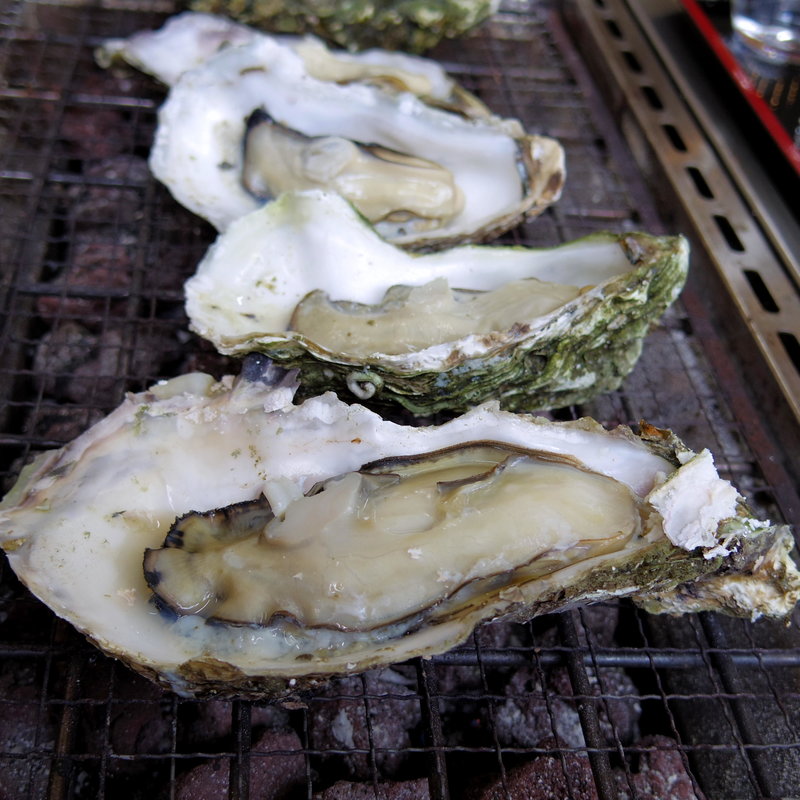 かき定食(海の幸ふるまいセンター)