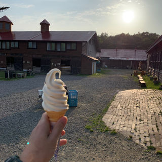 北海道で食べられる人気ソフトクリームbest30 Sarah サラ