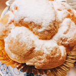 生シュークリーム