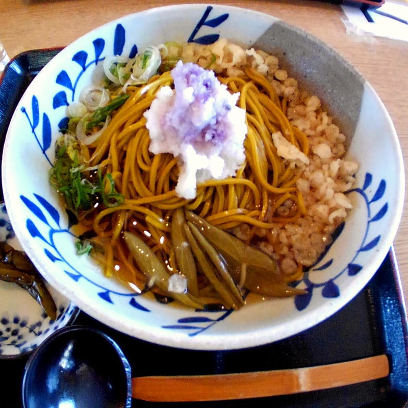 韃靼須川そば(冷)(山のそば屋 須川 （やまのそばや すかわ）)