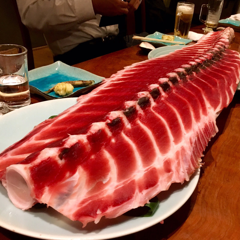 炭火焼きコースのマグロ中おち(Jige 築地店)