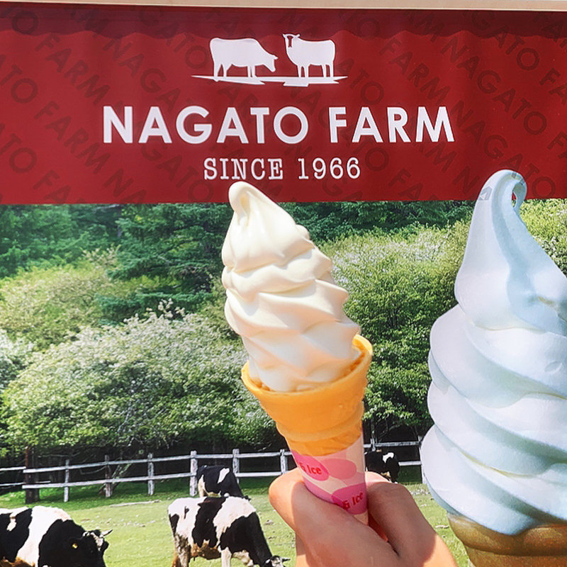 ソフトクリーム(東部湯の丸サービスエリア（上り）スナックコーナー )