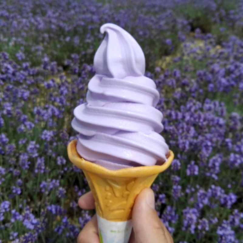 ラベンダーアイスクリーム(たんばら　ラベンダーパーク )