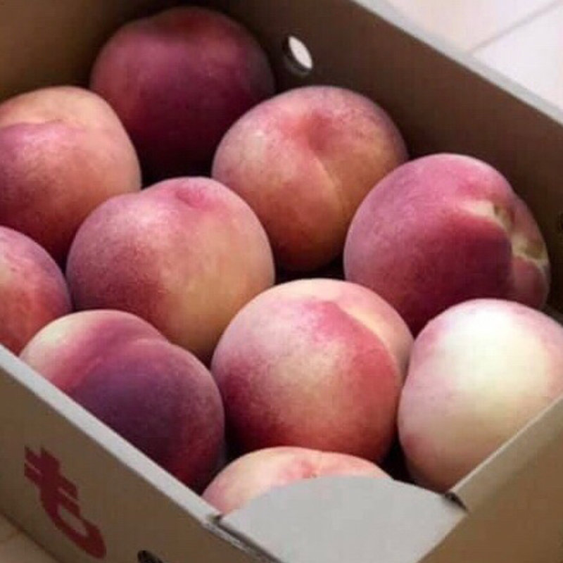 川中島 白桃(JAグリーン長野 川中島 共選所)