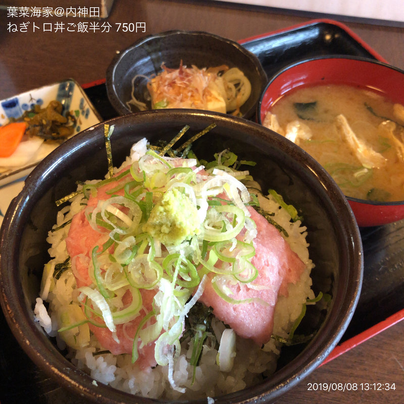 ねぎトロ丼(小)(葉菜海家 )