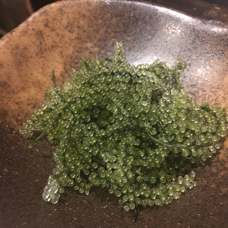 海ぶどう(博多 ごっそう 道楽)