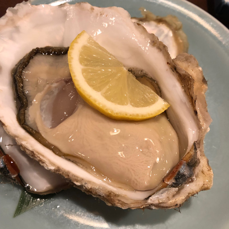 生牡蠣(和食 こふじ)