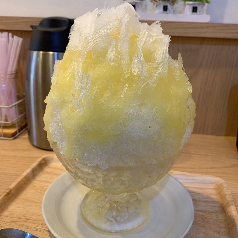 晩柑パンナコッタ(GOFUKU)