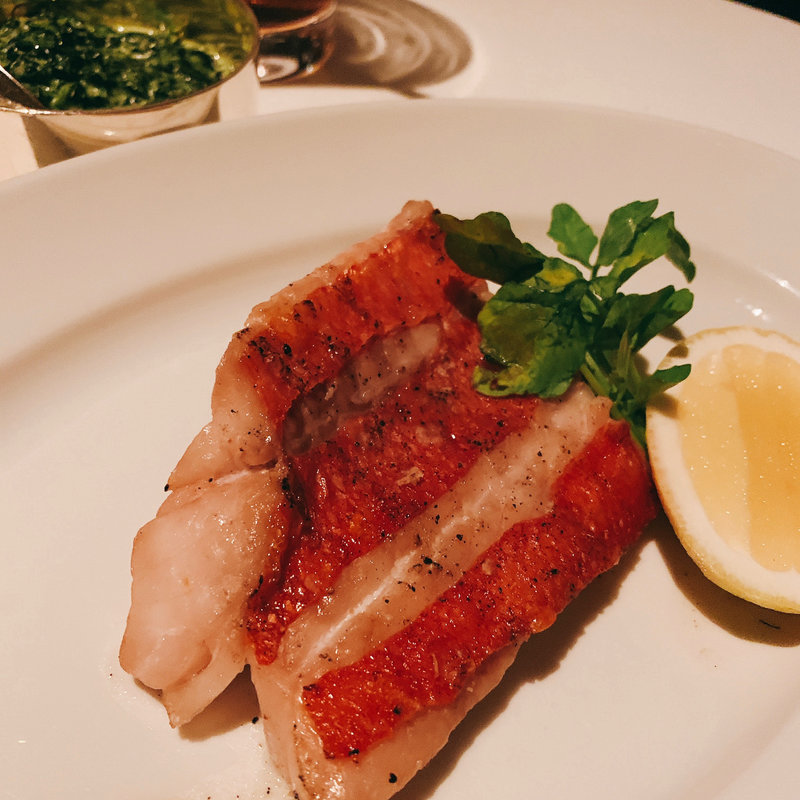 本日の魚料理 レモンのグリル ハーブソース(ステーキハウス オークドア)