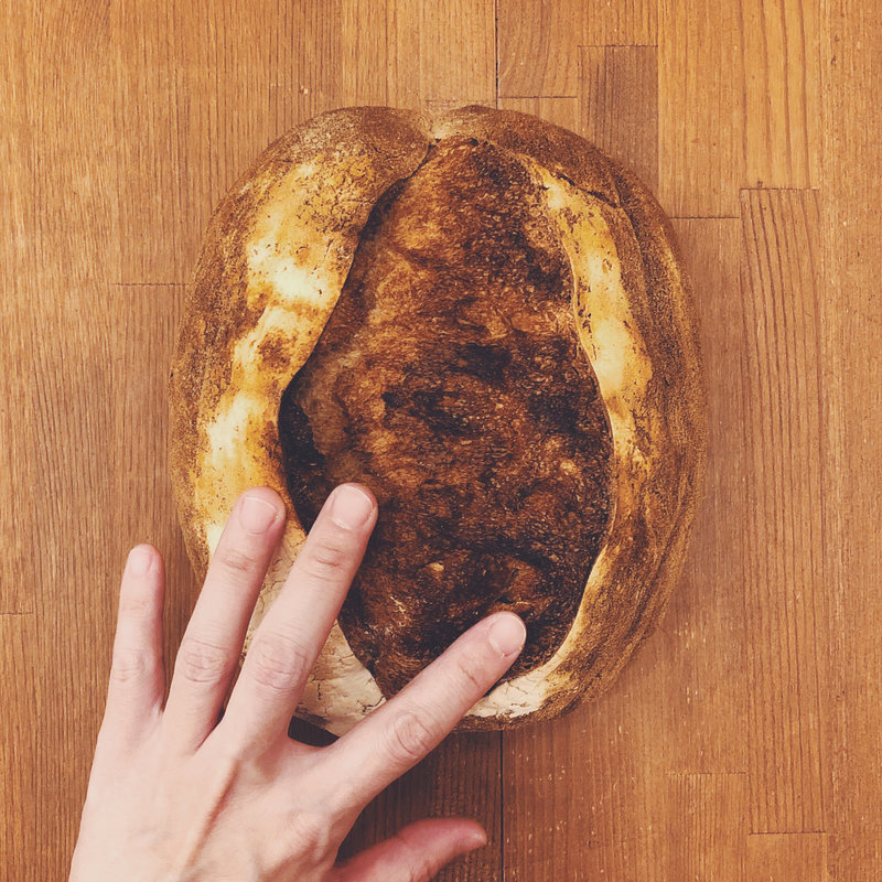 カンパーニュ(ソーケシュ製パン×トモエコーヒー)