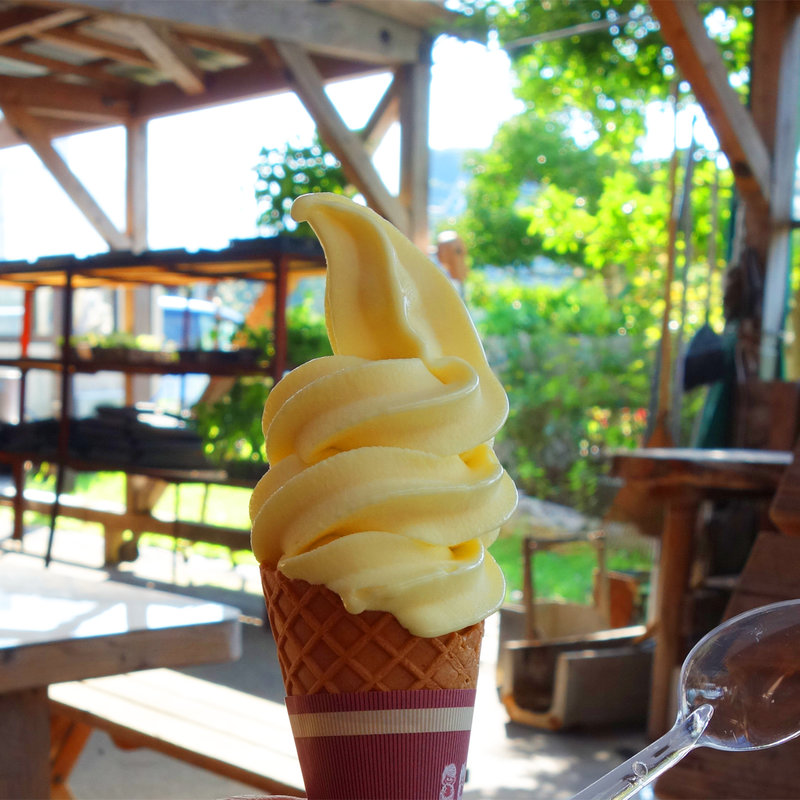 スイートスプリングのソフトクリーム(道の駅 鷹ら島)