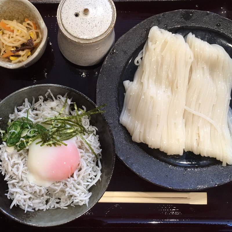 稲庭KOKOKARAうどん(心から)