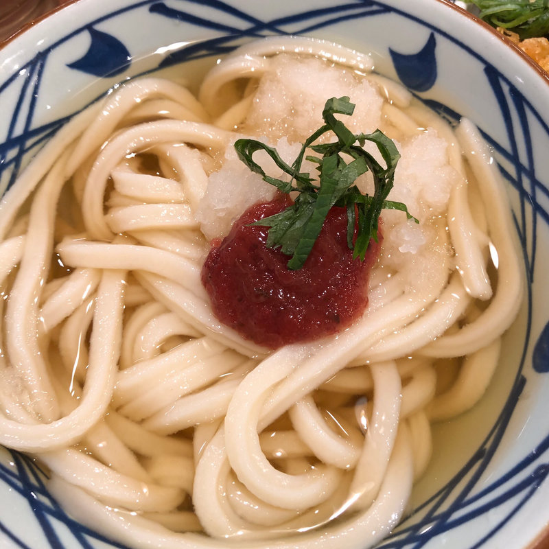 梅おろしうどん(丸亀製麺 米沢店)