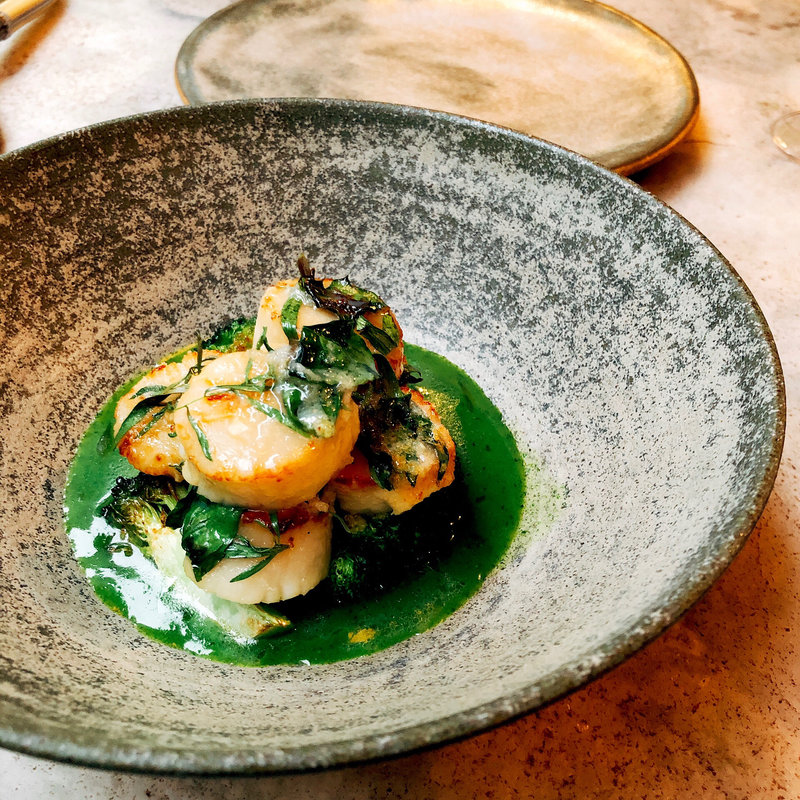 帆立貝の香草風味焼き あさりとハーブのソース(kiki （キキ）)