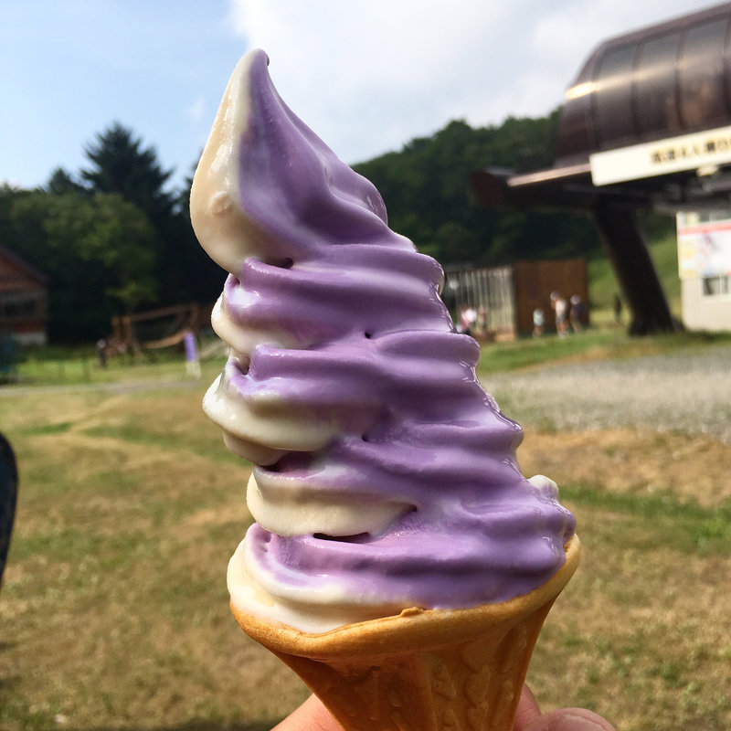 ラベンダー&ミルクソフトクリーム(たんばら　ラベンダーパーク )