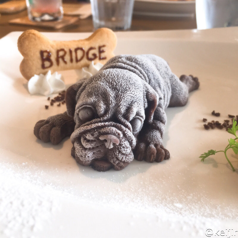 Chocolate mousse Real Dog Ice Cream Mr. KIM(ブリッジ （BRIDGE）)