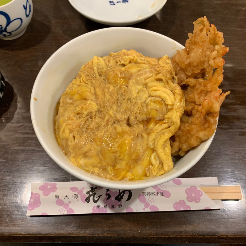 天とじ丼(飛うめ)