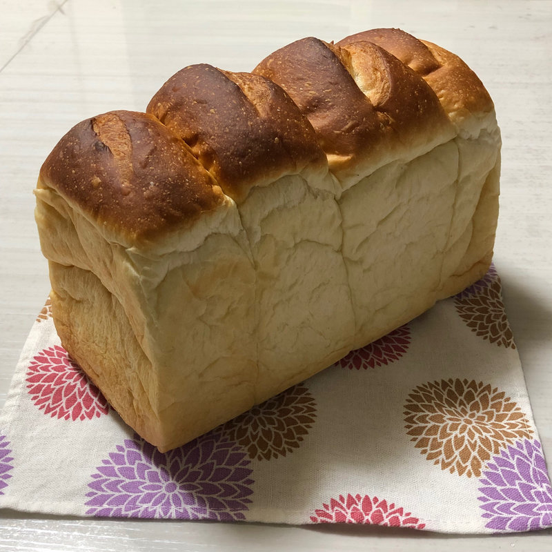 ブレッドパンの実(パンの実)