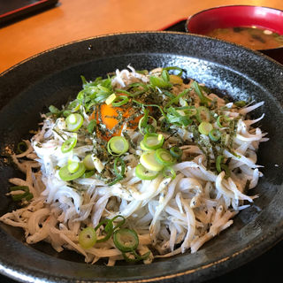 大阪府で食べられる釜揚げしらす丼ランキング Sarah サラ