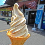佐々長のみそソフトクリーム(道の駅 とうわ )
